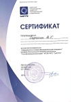 Сертификат участника конференции - Информатика и новые образовательные стандарты